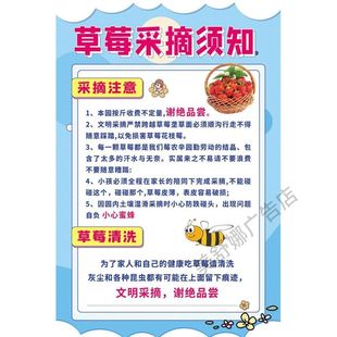 草莓采摘入园须知警示语广告自粘贴画小吃防水招牌高清贴纸宣传画