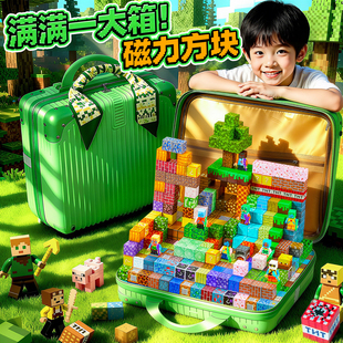 我 积木玩具益智强磁铁儿童男孩子圣诞礼物 世界磁力方块全套正版