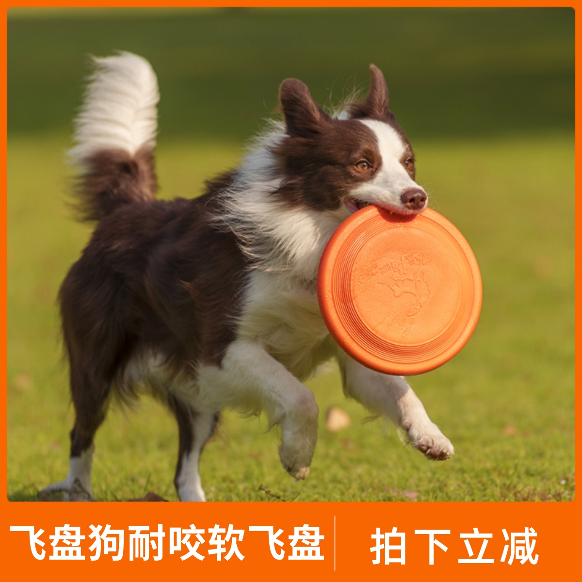 飞盘狗专用飞盘耐咬训犬软飞碟边牧金毛拉布拉多大中小型宠物玩具