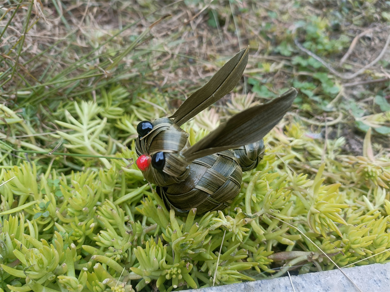 草精灵逗猫手工艺品影视道具