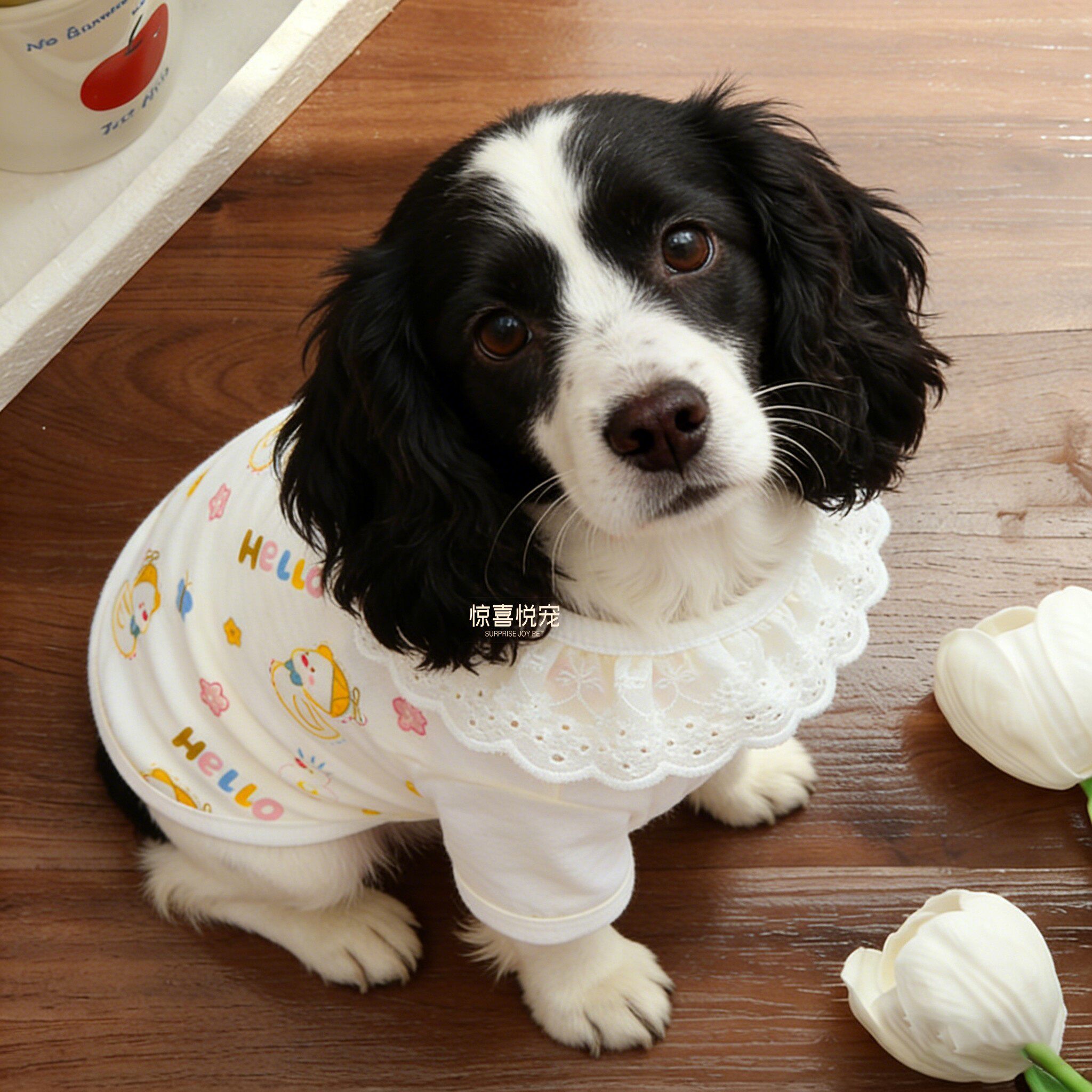 狗狗衣服春装2026新款史宾格小狗可爱轻薄外出居家防掉毛可牵引
