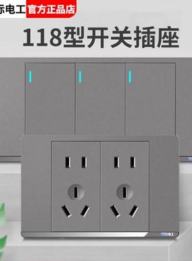 国际电工118型开关插座长方形灰色面板十五孔二十孔双控电源插座