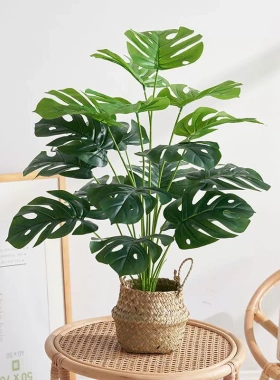 北欧风客厅仿真绿植龟背竹小盆栽假绿植摆件装饰假花仿真花摆设