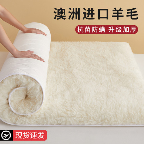 羊毛床垫软垫冬季家用垫被褥子