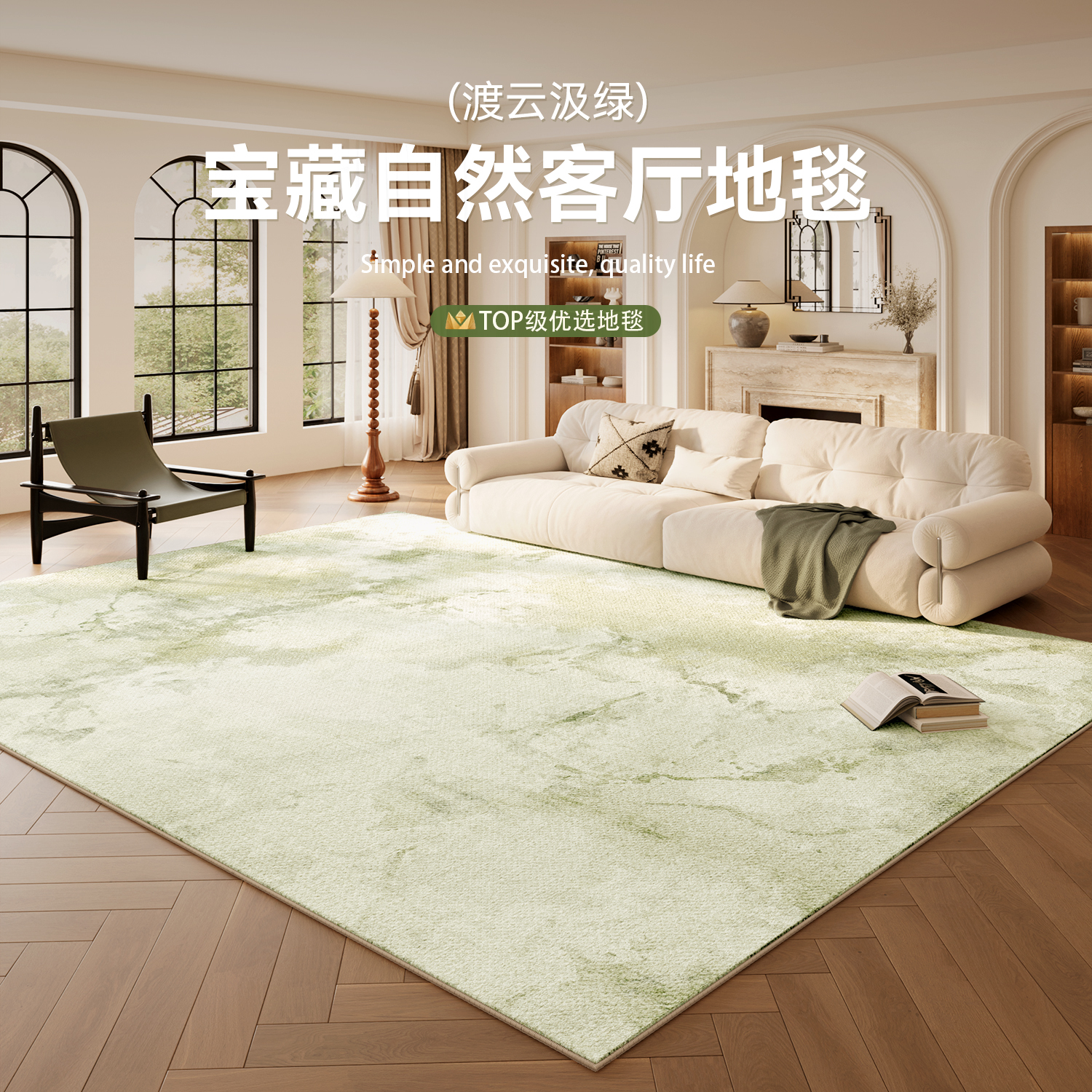 2025新款客厅地毯绿色法式轻奢室内房间沙发地垫出租屋天津崔黄口