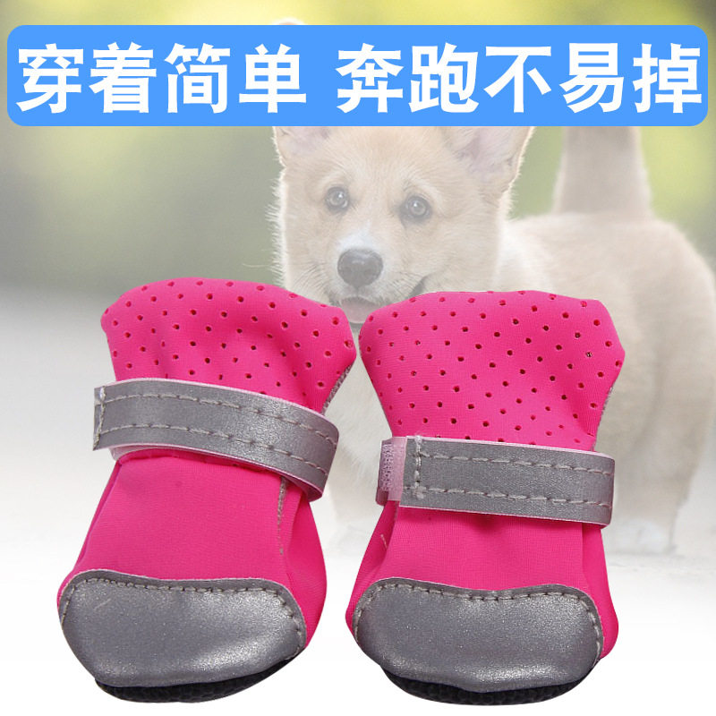 透气反光狗狗鞋子博美泰