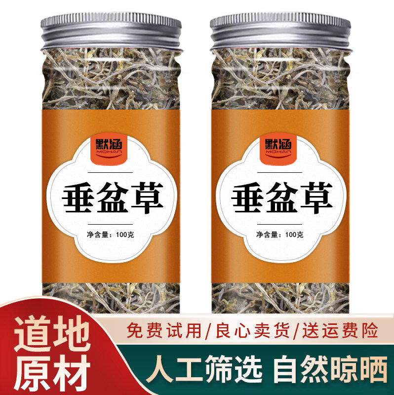 垂盆草中药材散装干货