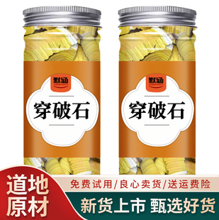 穿破石中药材川破石柘树根地棉根新鲜干货散装可打穿破石粉可泡水