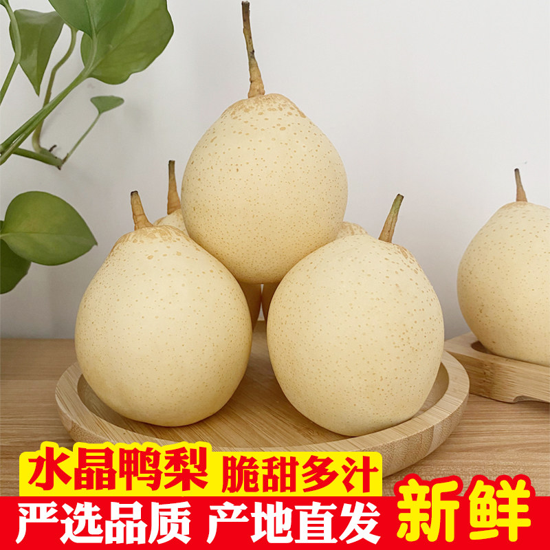 当季新鲜鸭梨水果10斤整箱河北梨子现摘5斤脆甜香梨应季水晶梨