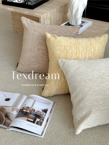 态度现代简约轻奢沙发抱枕