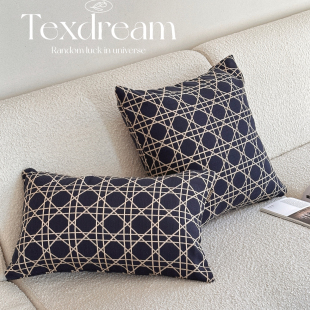 藤格纹 Texdream态度 现代轻奢客厅沙发抱枕套高级感床头靠垫含芯