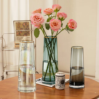 透明玻璃花瓶高级感绿色摆件客厅插花简约轻奢水培鲜花富贵竹绿植