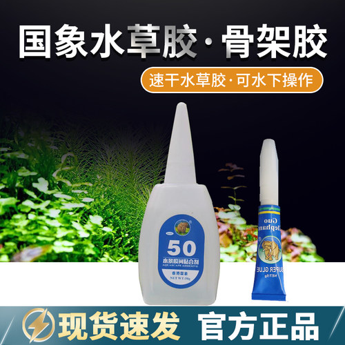 国象水草胶莫斯胶水景水下小鹏说