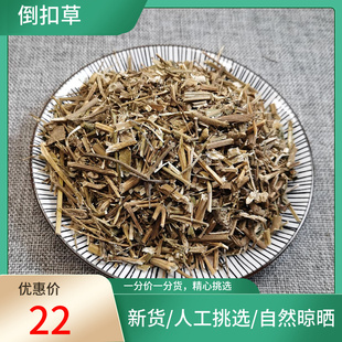 倒扣草500g别名鸡豚草倒钩草牛七风白牛七倒挂草倒刺草中药材