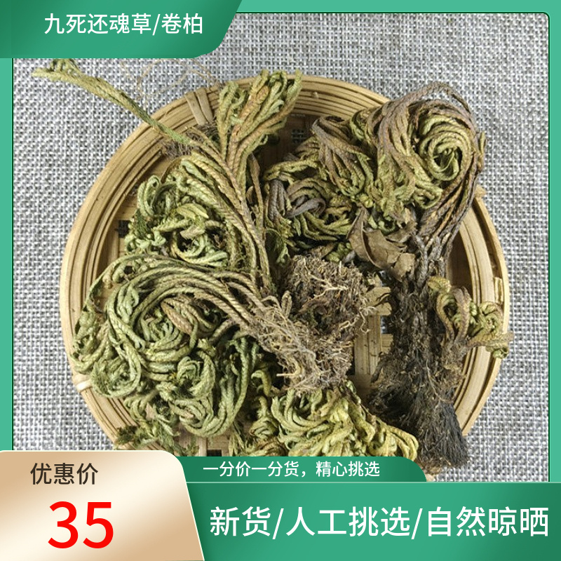 优选九死还魂草 500g 卷柏  老虎爪 长生草 不死草新货非中药材粉