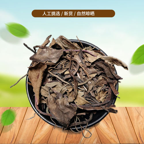 正宗兔耳草新鲜中药材