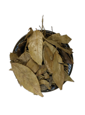 山间谷草 南烛叶 500g 南竹叶 叶墨饭叶 乌饭树叶 新货非中药材粉