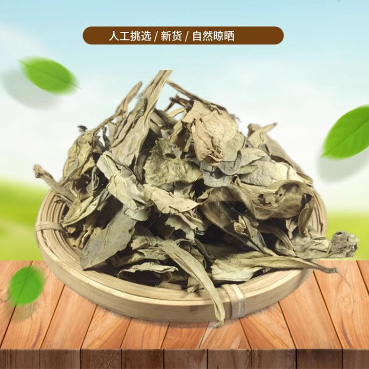 山间谷草 龙利叶 500g 龙舌叶龙味叶龙脷叶牛耳叶新货非中药材粉