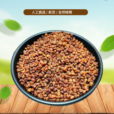 正宗甄选 黑苦荞 500g 荞麦大麦苦芥浓香新鲜干货