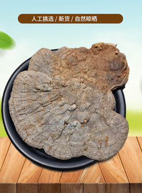 正宗 树舌 500g 别称赤色老母菌、扁芝木灵芝、树耳朵非中药材粉