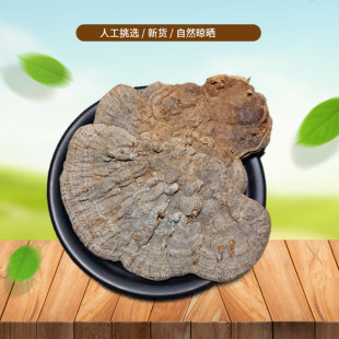 正宗 树舌 500g 别称赤色老母菌、扁芝木灵芝、树耳朵非中药材粉