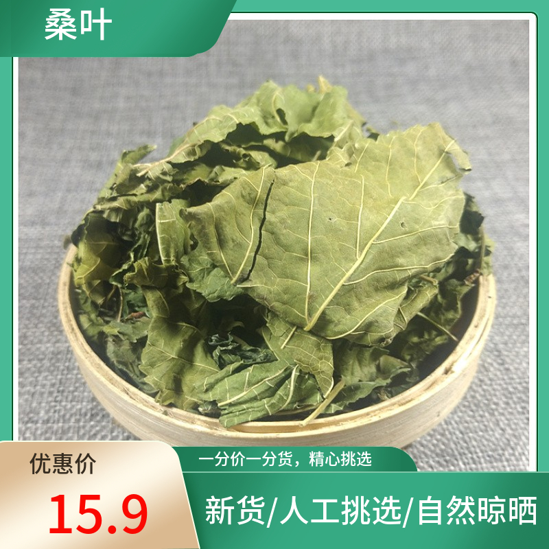 山间谷草 桑叶500g桑树青桑叶桑叶冬桑叶新桑叶新货非中药材粉