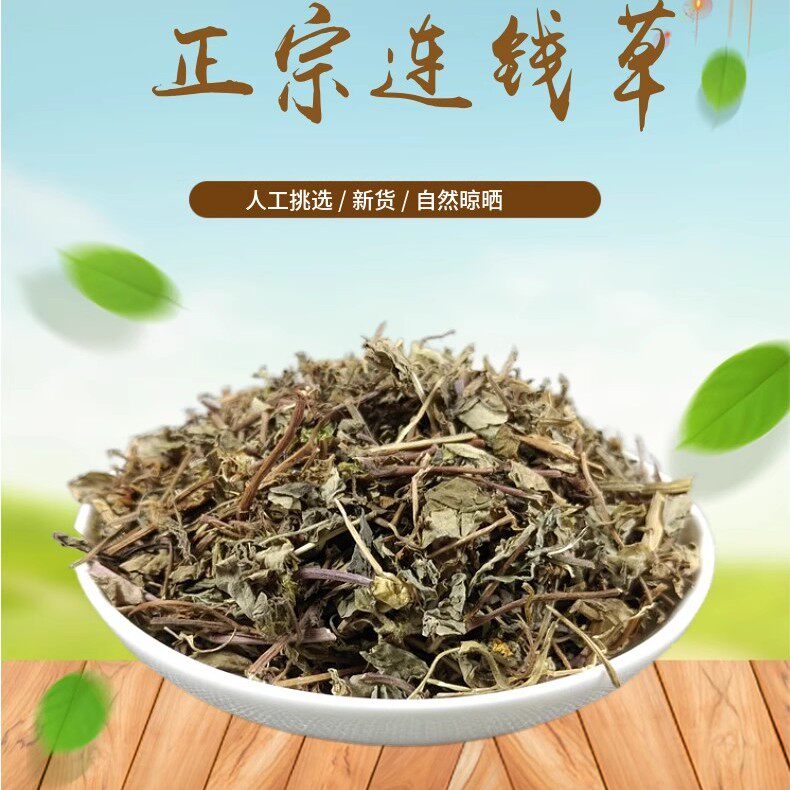 山间谷草 连钱草500g 新鲜干货莲线草 金钱草  透骨消 铜钱草