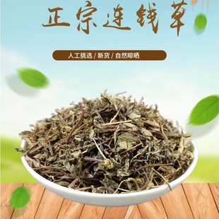 透骨消 山间谷草 金钱草 连钱草500g 铜钱草 新鲜干货莲线草