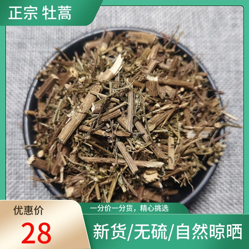 正宗甄选 牡蒿500g 新鲜干货齐头蒿猴掌草油蒿牧高非野生中药材粉