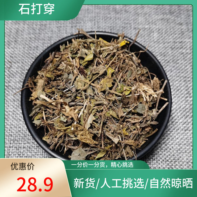 正宗 石打穿 500g 别名龙牙草瓜香草黄龙尾龙头草非中药材粉