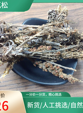 山间谷草 瓦松 500g 别名 瓦花 向天草 酸塔 新货挑选非中药材粉
