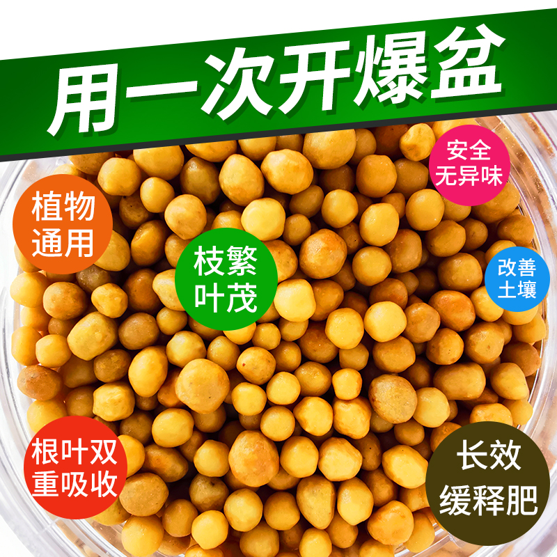 奥绿缓释肥月季兰花家用长效