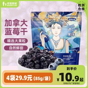 老爸评测浙梅加拿大蓝莓干果干果脯蜜饯零食独立包装 工厂发