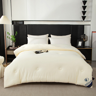 德绒发热保暖冬被裸睡亲肤柔软安睡超柔被轻奢睡眠云朵被C