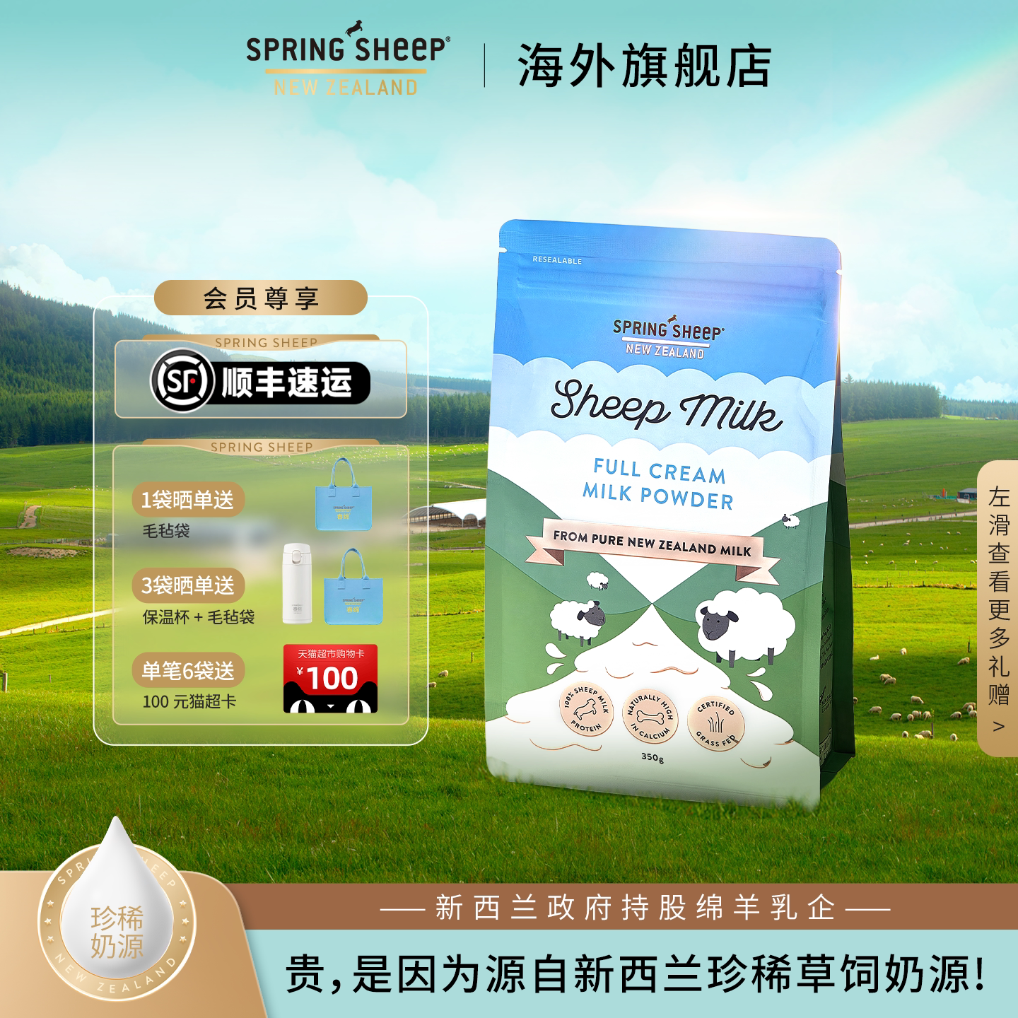 SpringSheep春绵羊奶粉新西兰原装进口成人全脂高钙奶350g