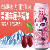 雅安车厘子精酿啤酒500ML 6罐四川汉源果味樱桃味花椒昊洲店