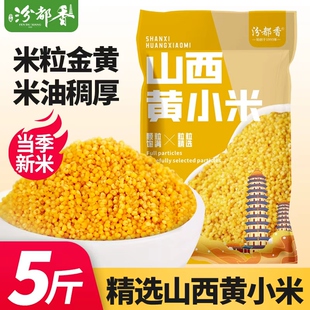 汾都香5斤油小米独立包装山西黄小米早餐米粥杂粮米饭粥1斤