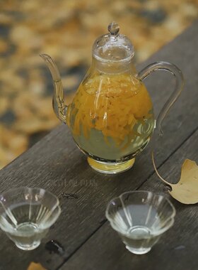 手执壶壶美人新款茶具耐高温玻璃透明茶杯新中式煮茶壶玻璃壶茶器