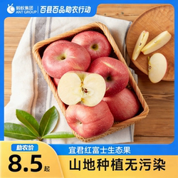 新鲜陕西宜君红富士生态果中级果宜君苹果山地种植 1.2斤助农包邮