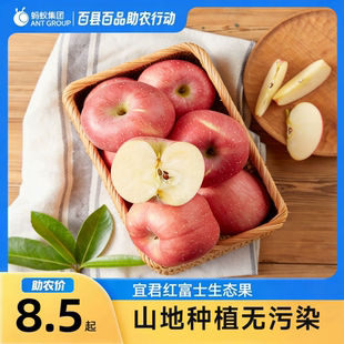 包邮 新鲜陕西宜君红富士生态果中级果宜君苹果山地种植 1.2斤助农