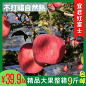 包邮 精品陕西宜君苹果山地苹果普通包装 9斤山地种植脆甜