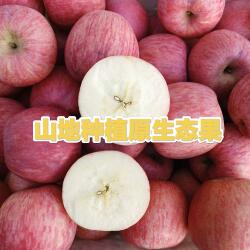 陕西宜君苹果生态果 宜君苹果5斤助农包邮