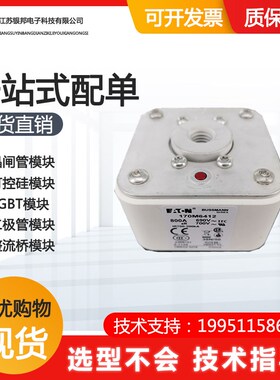 快速熔断器 保e险丝170M6410 170M6411 170M6412 170M6413