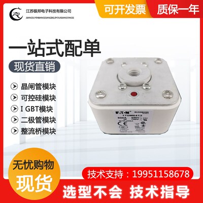 快速熔断器 保e险丝170M6410 170M6411 170M6412 170M6413