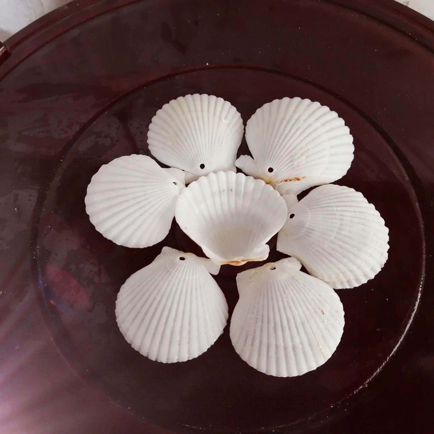 白色贝壳七彩花扇贝幼儿园手工diy材料涂色绘画鱼缸造景打孔