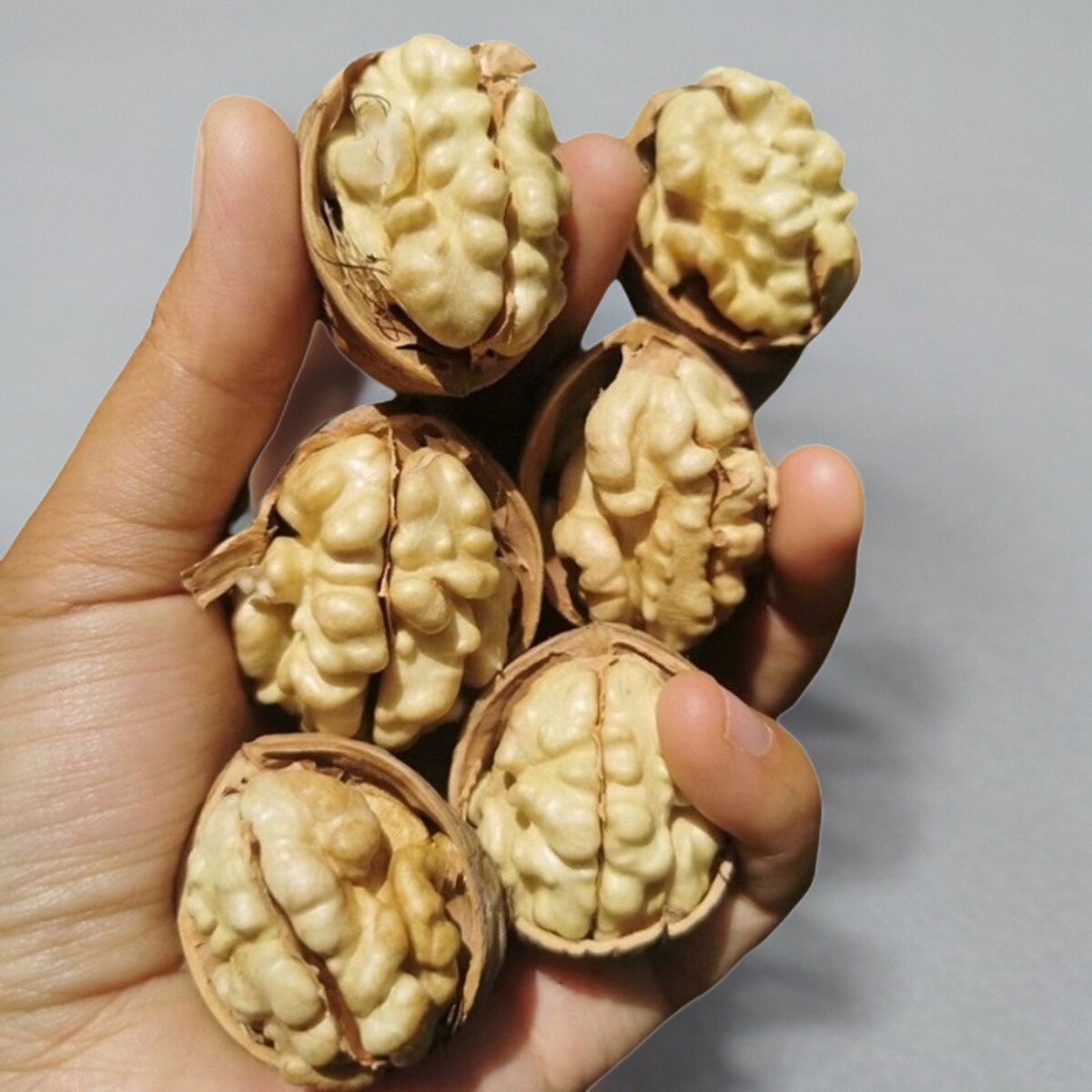 正宗185纸皮核桃1000g新疆直供