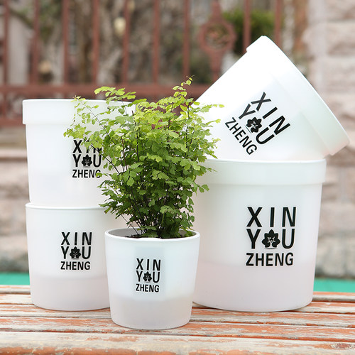自动吸水透明树脂塑料懒人花盆