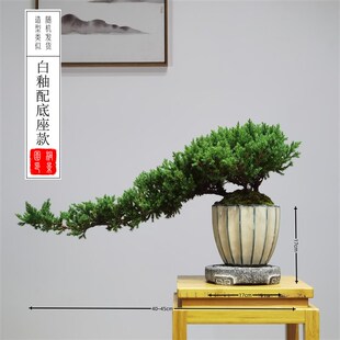 大型迎客松柏地柏四季常青中式室内禅意盆景庭院阳台盆栽年宵绿植