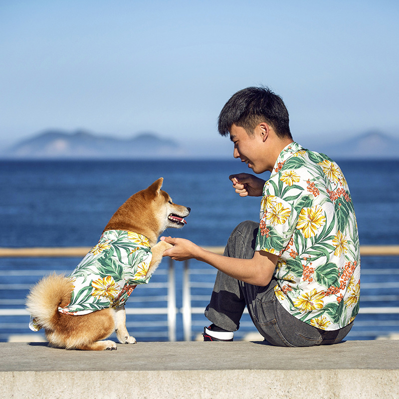 宠物亲子装夏季衬衫柴犬狗狗