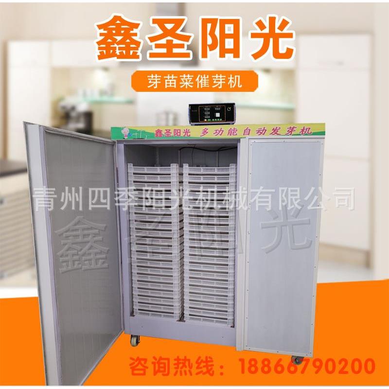 智能种子发芽机芽苗菜催芽机 全自动发芽机厂 糙米水稻发芽机
